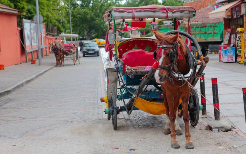Horse cart making